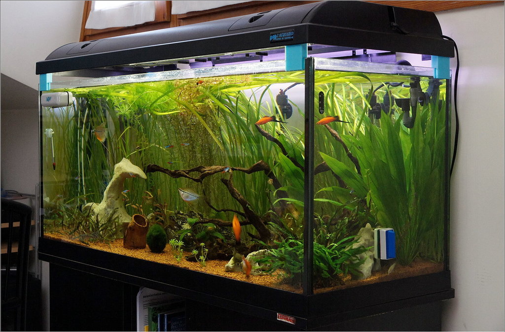 Aquarium Cover Spacer