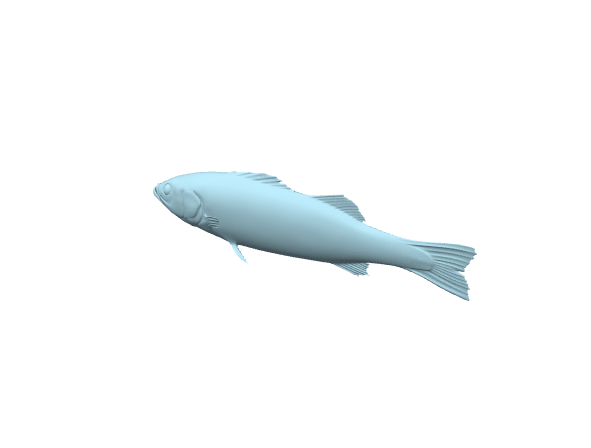 Pesce, modello decorativo da collezione