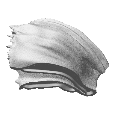 Photo of 1008-14-15 hollow cloak 2 SLA (repaired)