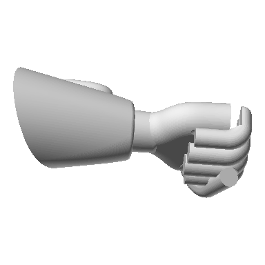 Photo of Right Forearm White