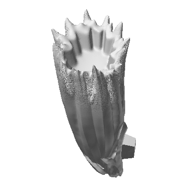 Photo of Left Leg