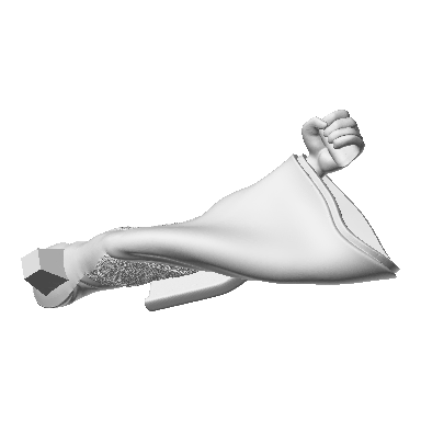 Photo of Left Arm