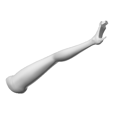 Photo of Right leg Elsa