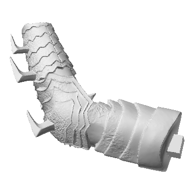 Photo of Left Arm