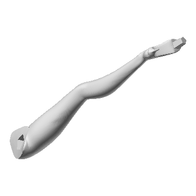 Photo of Left leg Elsa