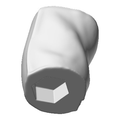 Photo of Right Bicep