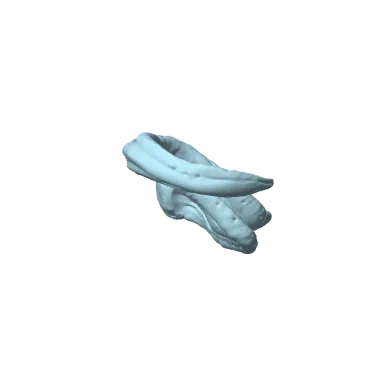 Photo of Tongue Demonfrog